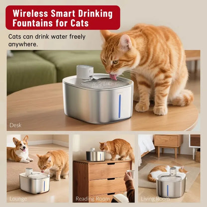 Smart Pet Water Dispenser - Fresh, Safe, 4L Capacity, 59% OFF + Free Filter Included