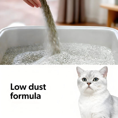 Clumping Litter with Febreze – Fresh Scent & Odor Control, 37 lbs (2-Pack)